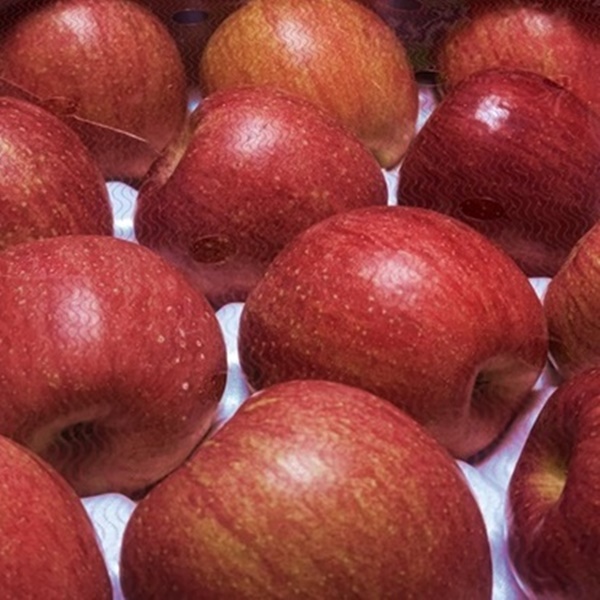 가정용 부사 사과 중대과 3kg 내외