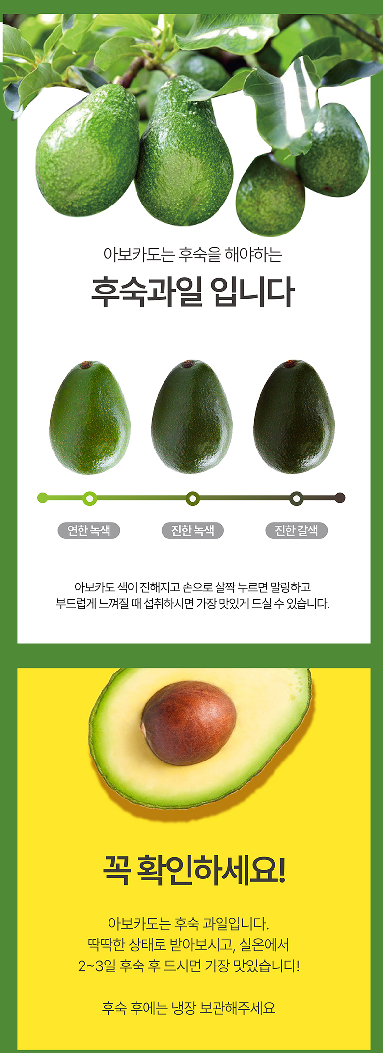 라라로코 프리미엄 생 아보카도, 대과, 10과