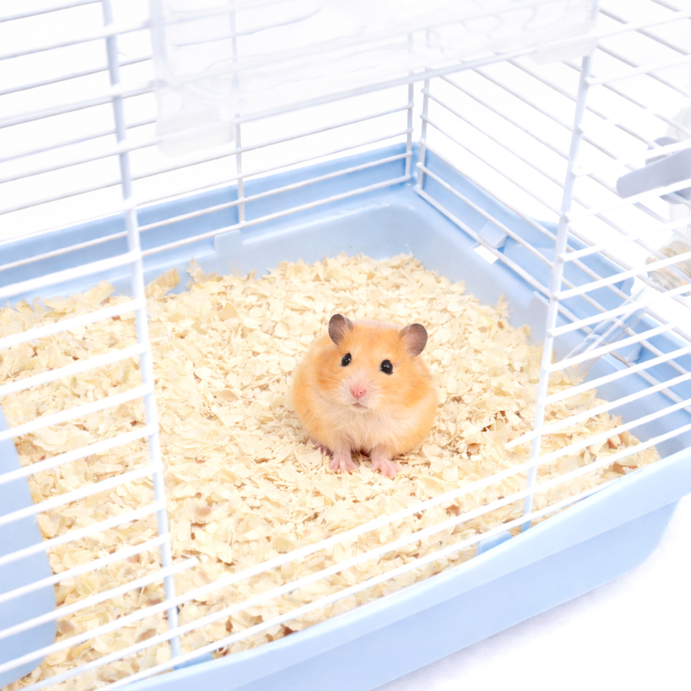 마이티펫 소나무 톱밥베딩, 1.5kg, 2개