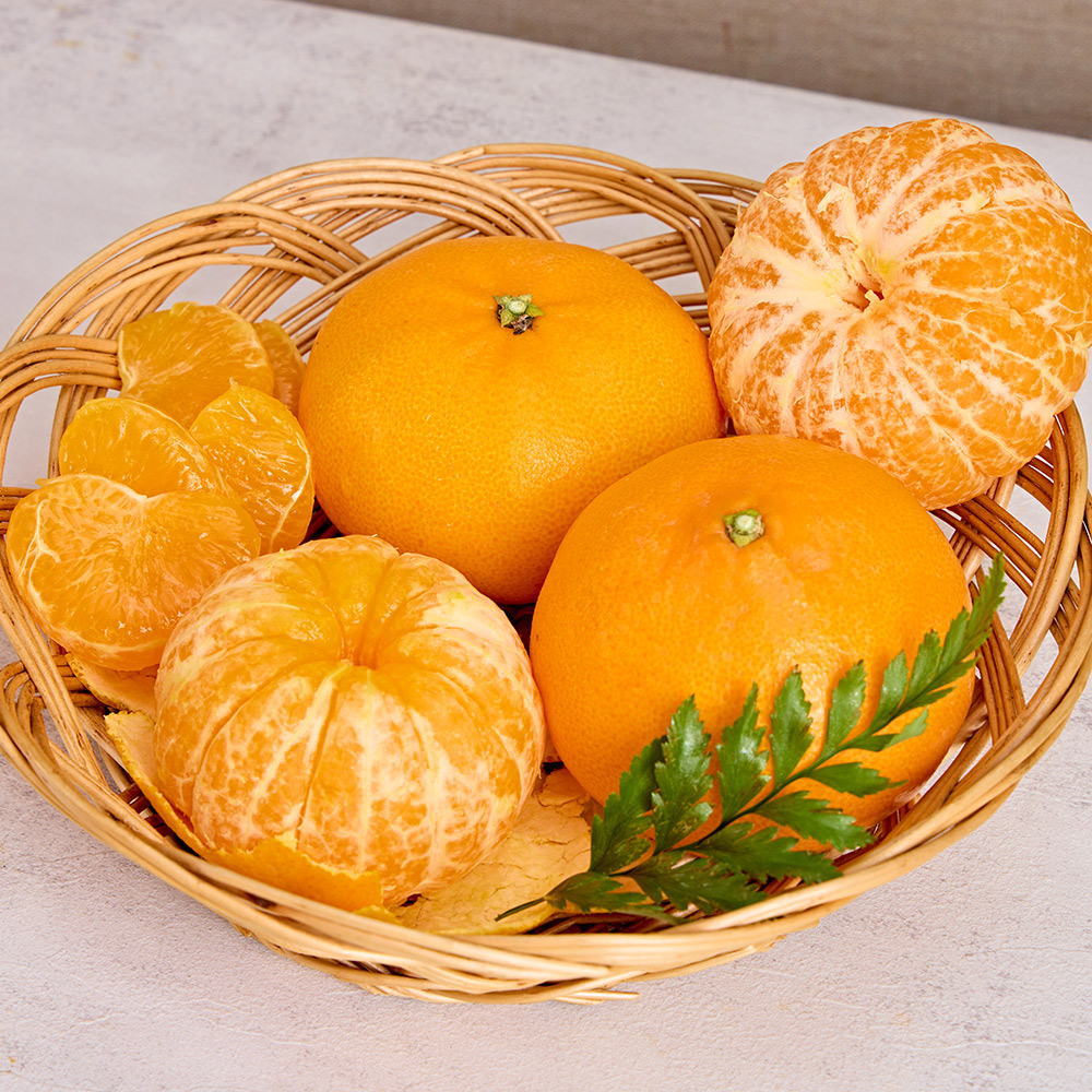 천혜향 4.5kg 가정용