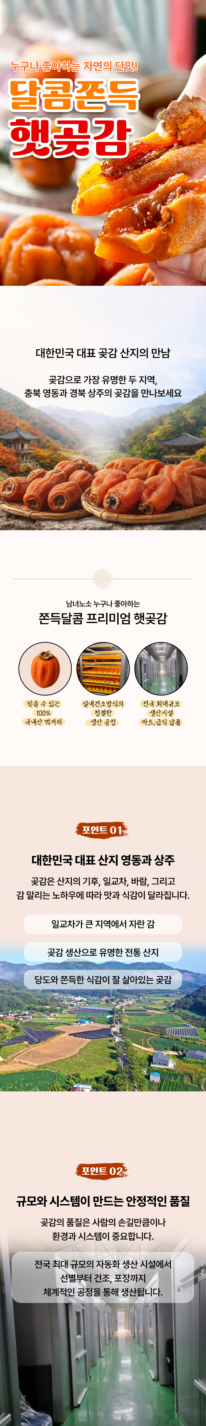 달콤쫀득 영동 상주 햇곶감, 500g, 1봉 상세 이미지 1