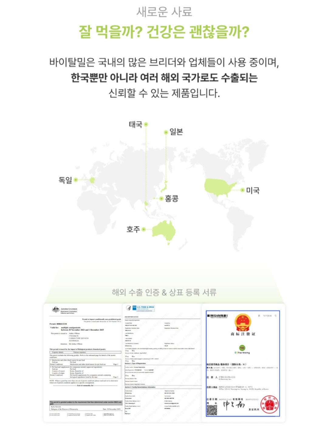 바이탈밀 곤충맛 슈퍼푸드, 파충류, 분말형, 50g, 컬러 주사기 증정, 1개 상세 이미지 2