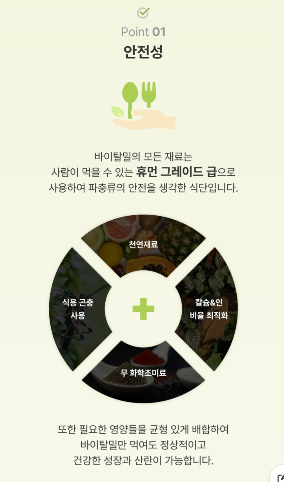 바이탈밀 곤충맛 슈퍼푸드, 파충류, 분말형, 50g, 컬러 주사기 증정, 1개 상세 이미지 3