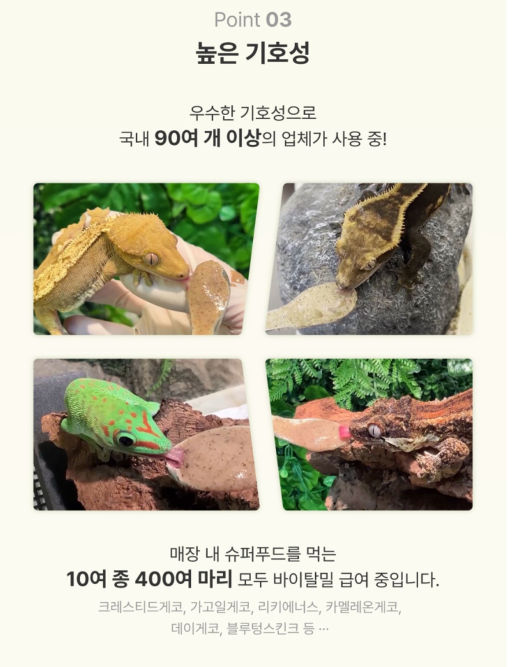 바이탈밀 곤충맛 슈퍼푸드, 파충류, 분말형, 50g, 컬러 주사기 증정, 1개 상세 이미지 5