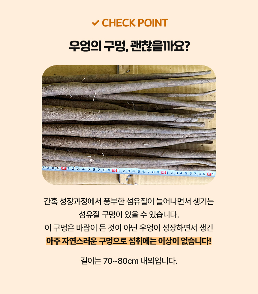 25년 햇 우엉 국내산 우엉, 실속형 차용 많이 굵음, 2kg, 1박스