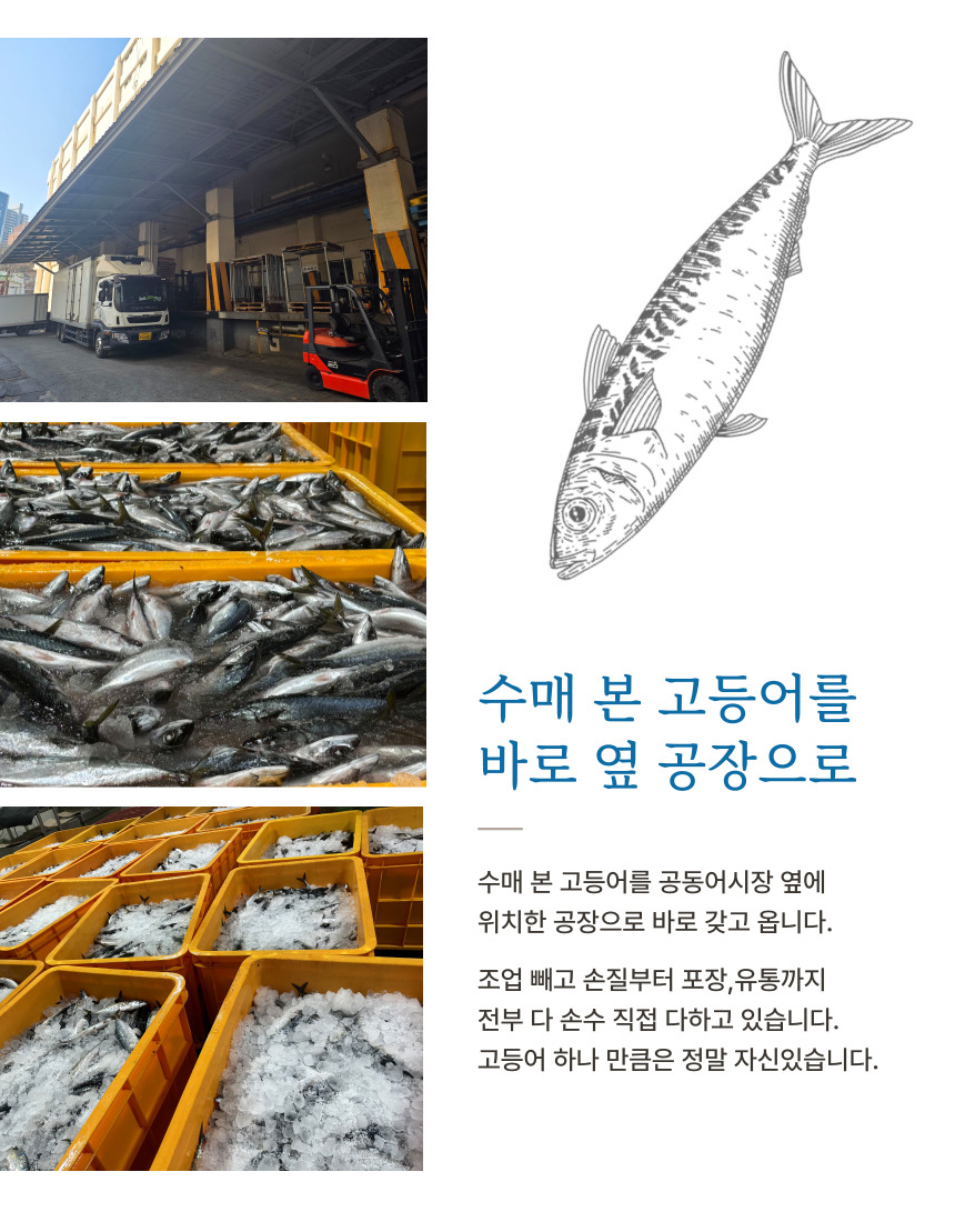 국내산 중사이즈 자반 고등어, 10마리, 2.8kg 내외, 1세트