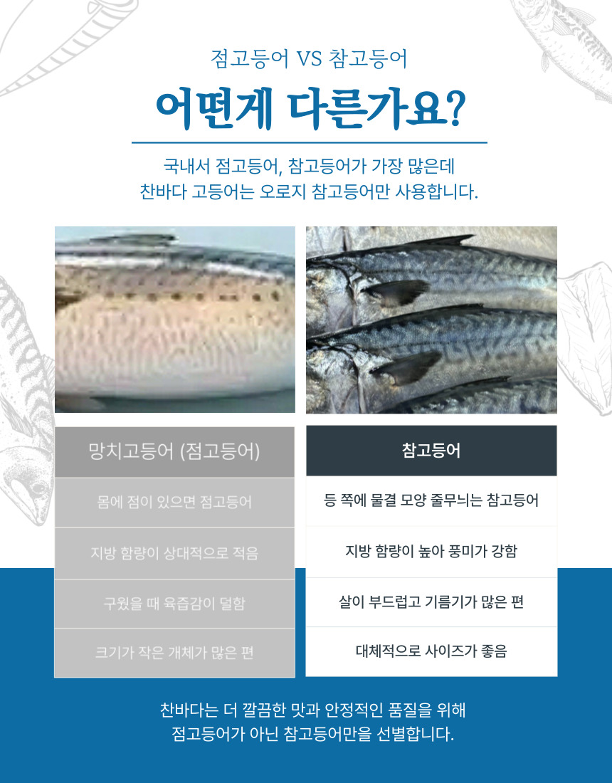 국내산 중사이즈 자반 고등어, 10마리, 2.8kg 내외, 1세트