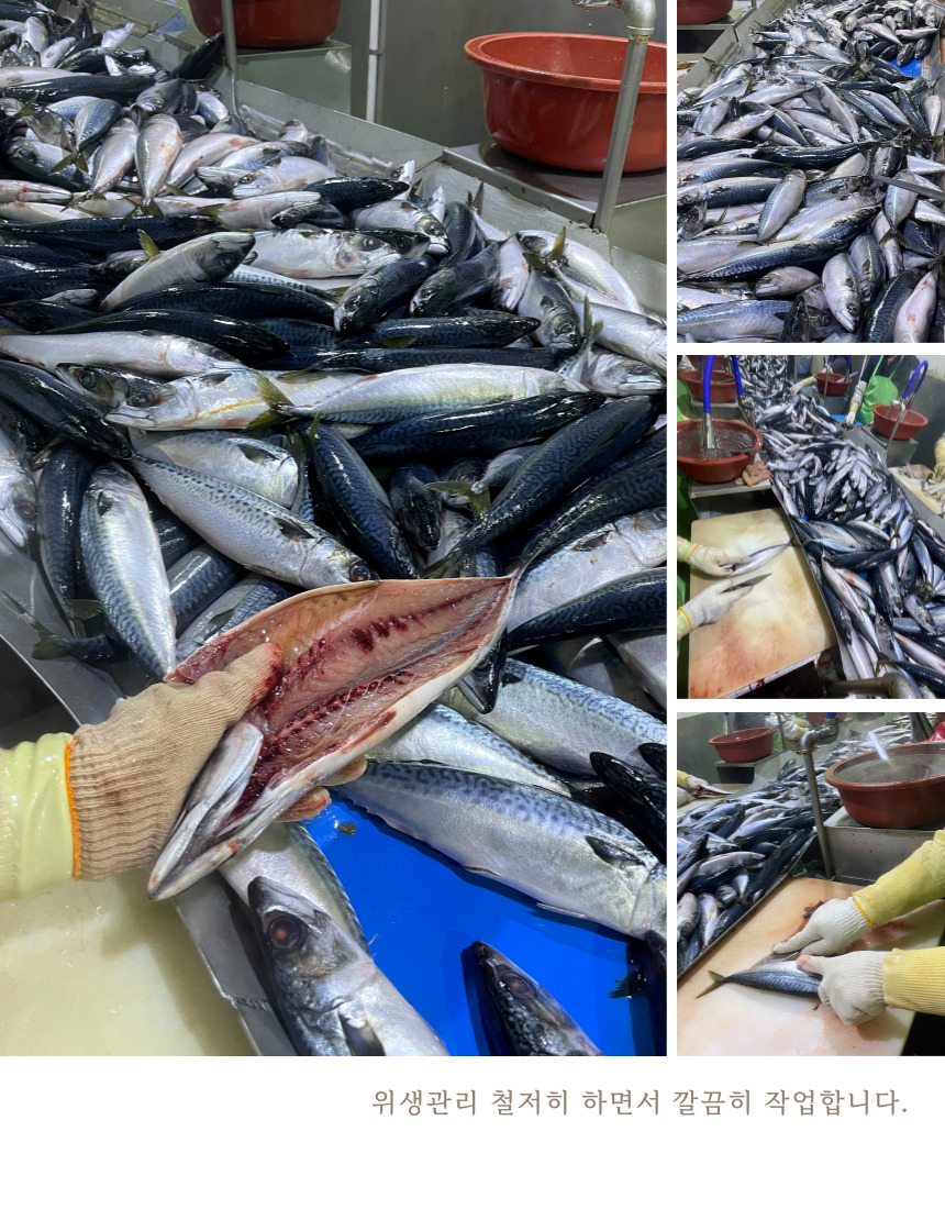 국내산 중사이즈 자반 고등어, 10마리, 2.8kg 내외, 1세트