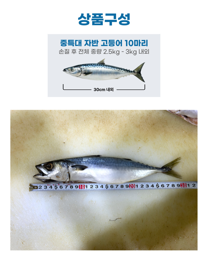 국내산 중사이즈 자반 고등어, 10마리, 2.8kg 내외, 1세트