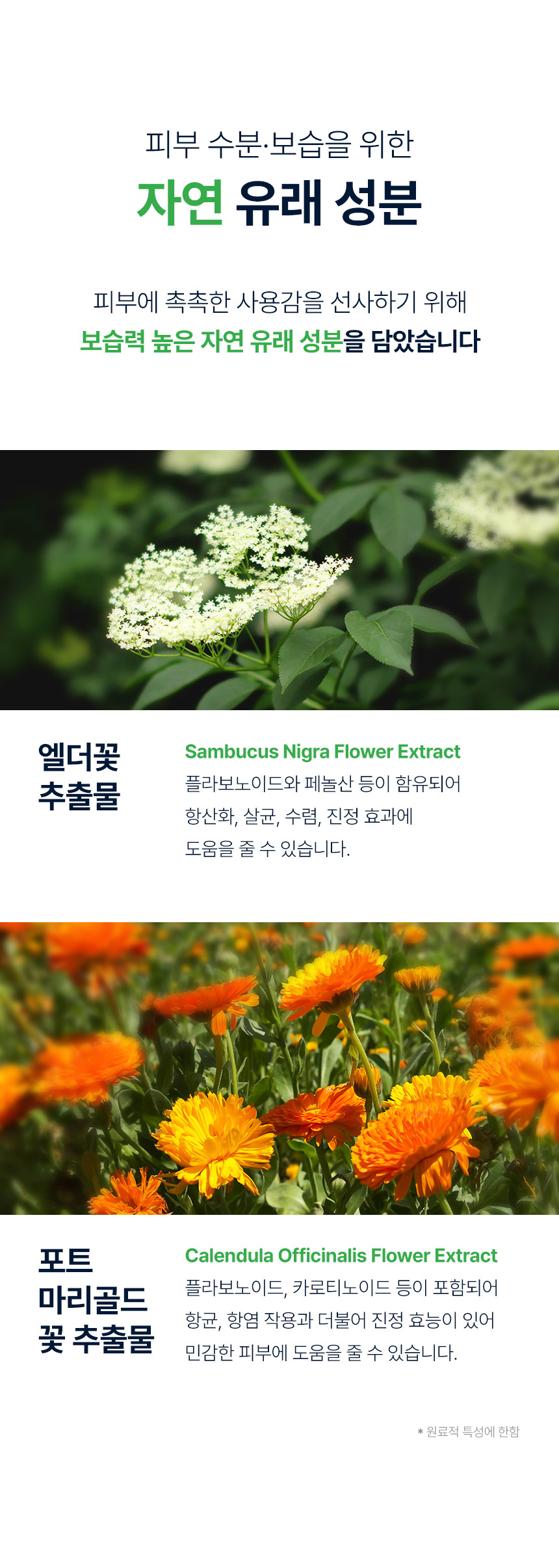 순수공감 노블 물티슈, 70매, 20팩 상세정보 9