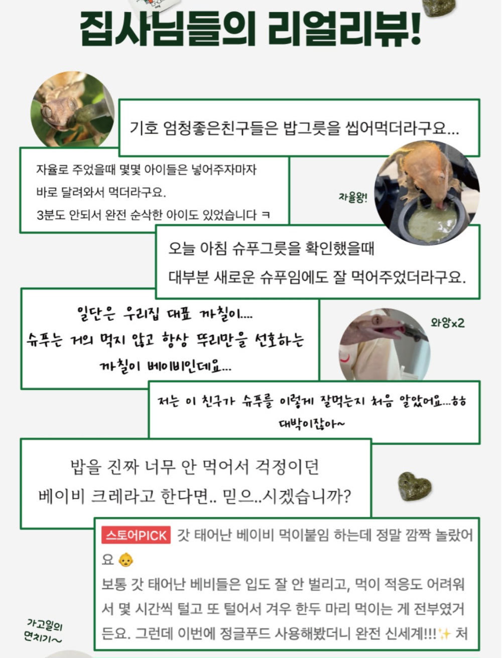 정글푸드 크레스티드게코 사료, 무화과맛, 100g, 1개 상세 이미지 2