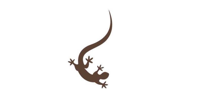 도마뱀 코코넛 사다리 은신처 숨숨집, 내츄럴, 1세트 상세 이미지 4