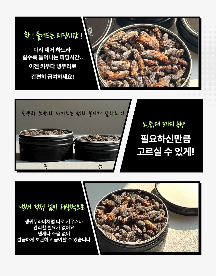 키우다 냉뚜리 중사이즈 냉동귀뚜라미, 15g, 85마리, 1개 상세 이미지 4