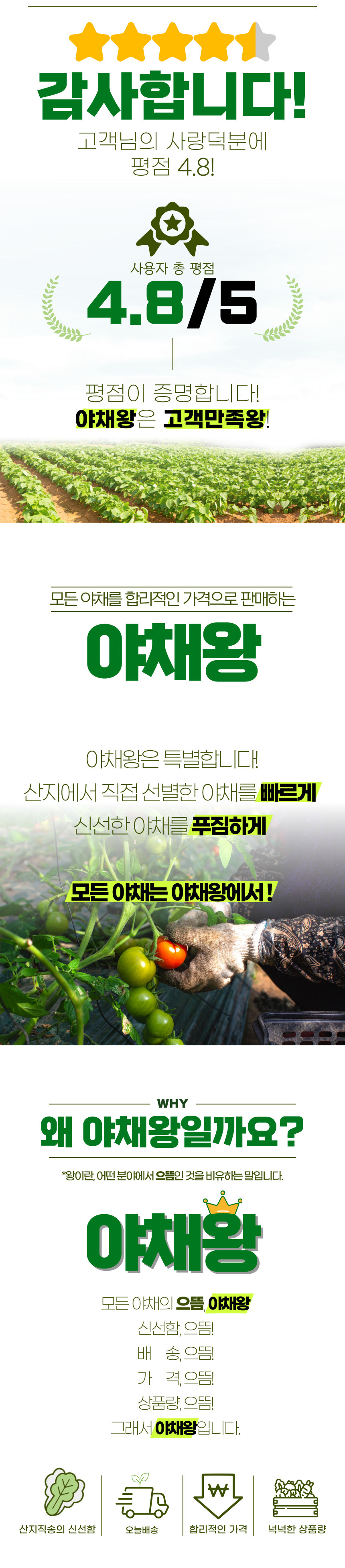 야채왕 청경채, 500g, 1개