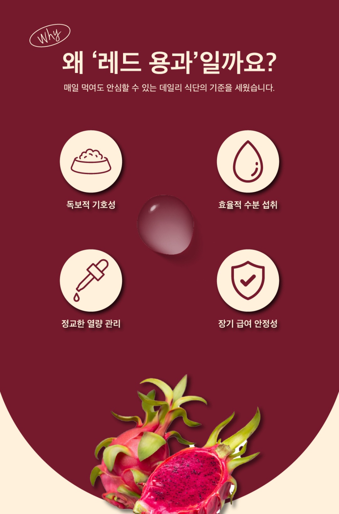 녹십자 지렙 크레스티드 게코 사료, 용과맛, 슈퍼푸드, 50g, 1개 상세 이미지 3