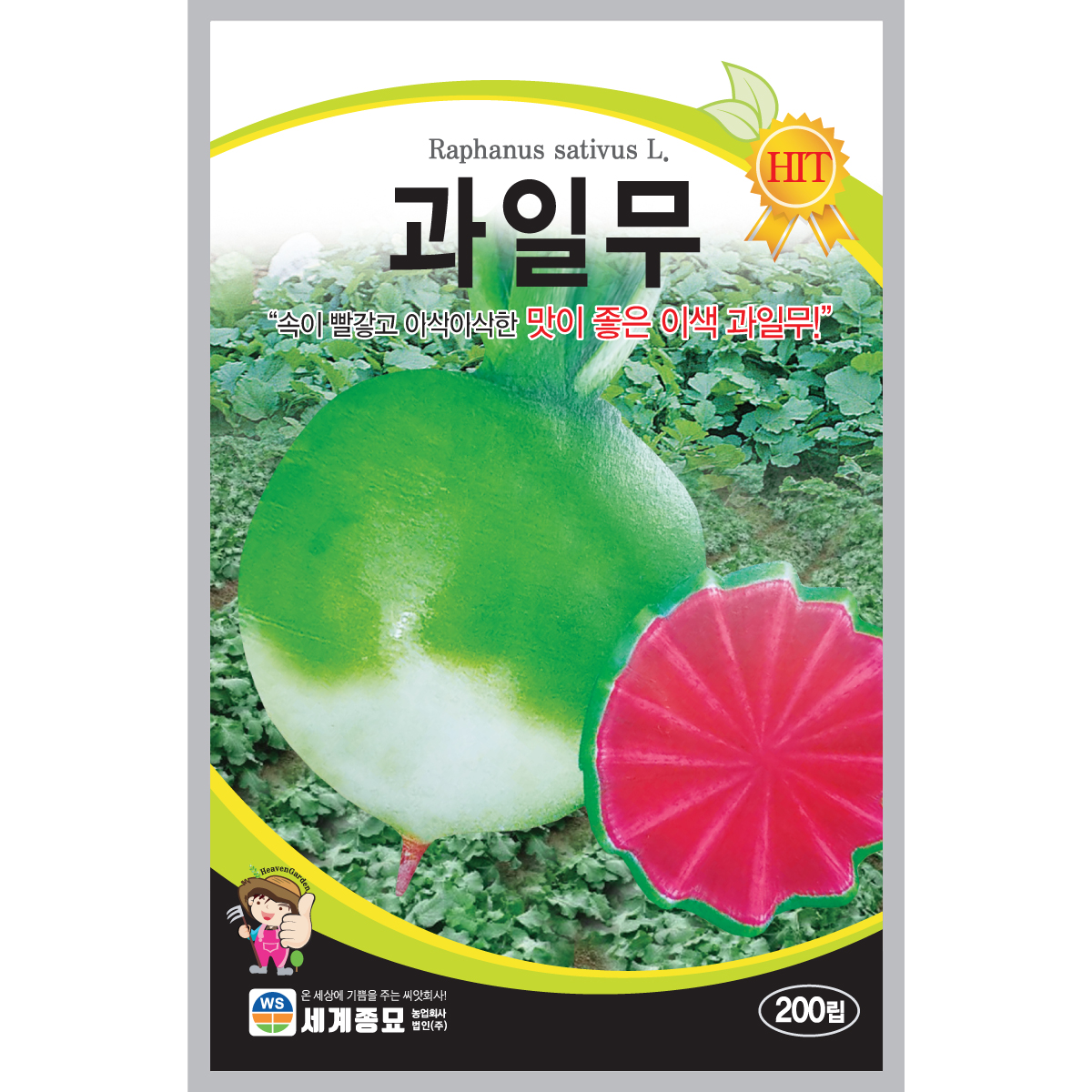 세계종묘 무씨앗 과일무 씨앗 200립, 1개 상세 이미지 1
