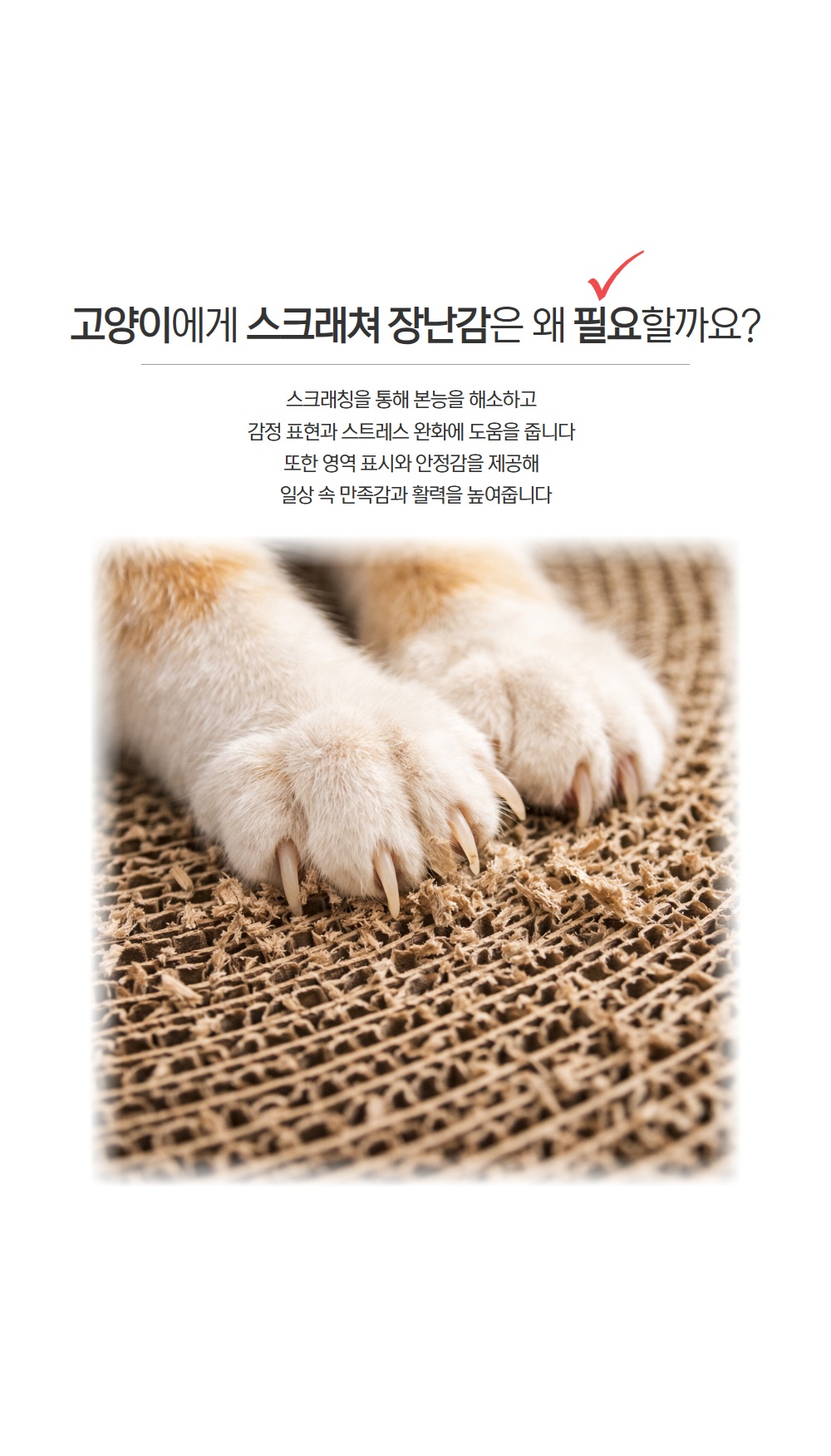 고양이 대형 트랙볼 스크래쳐 평판형 장난감, 화이트, 50cm, PTVC-25, 1개 상세 이미지 2