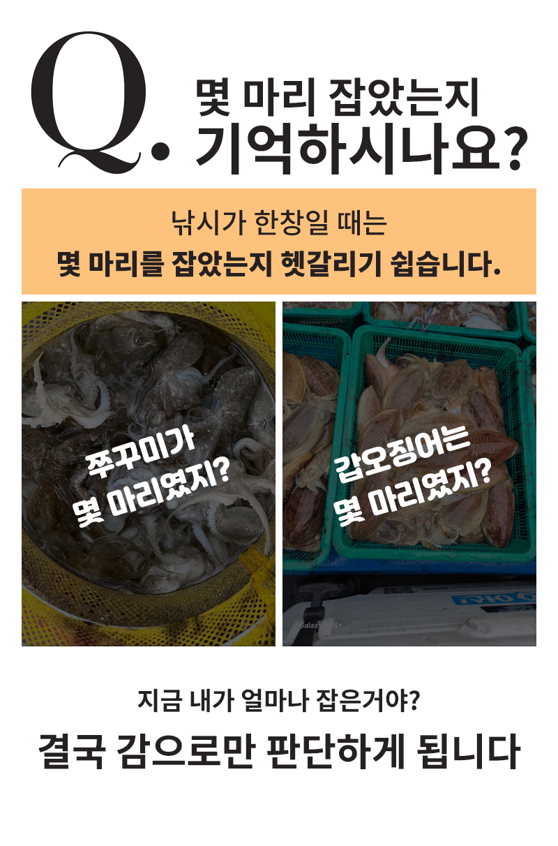 쭈꾸미 갑오징어 듀얼 카운터기, 블랙, 1개 상세 이미지 2