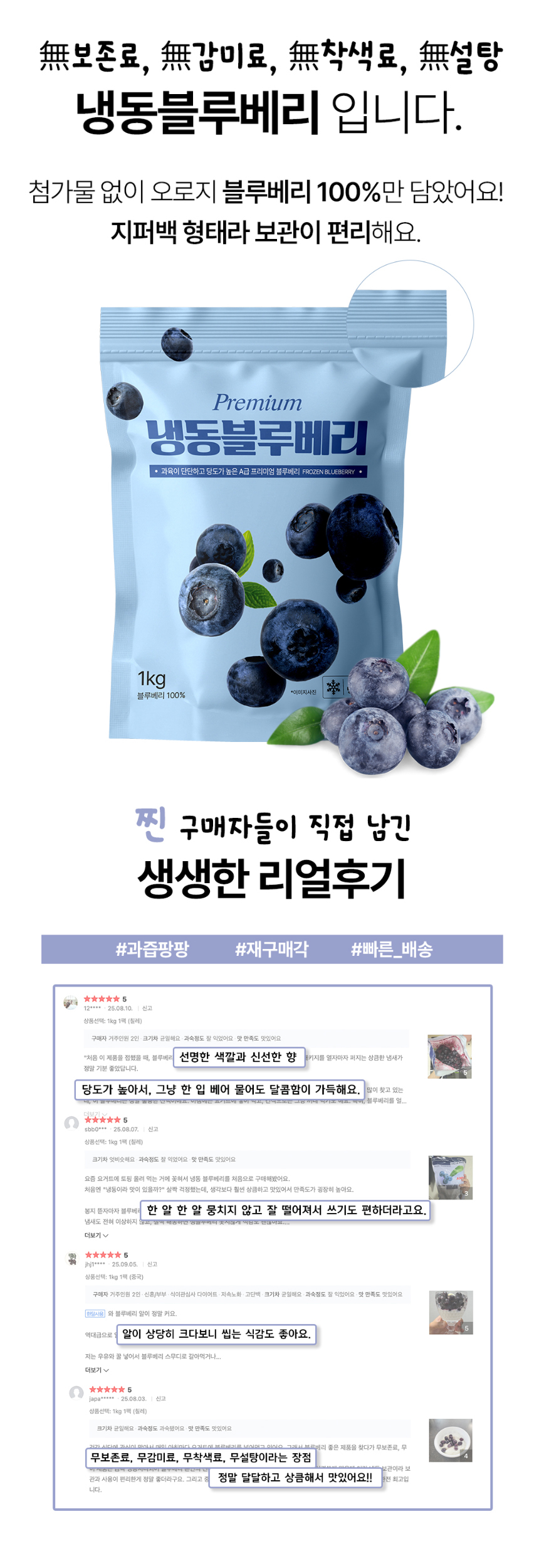 냉동 블루베리, 1kg, 2개