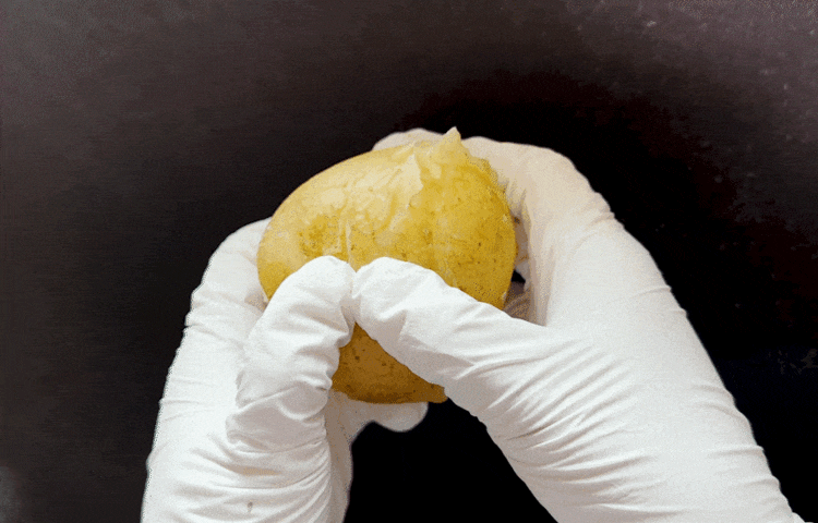 포슬한 감자, 3번 감자 10kg (대) 상세 이미지 1