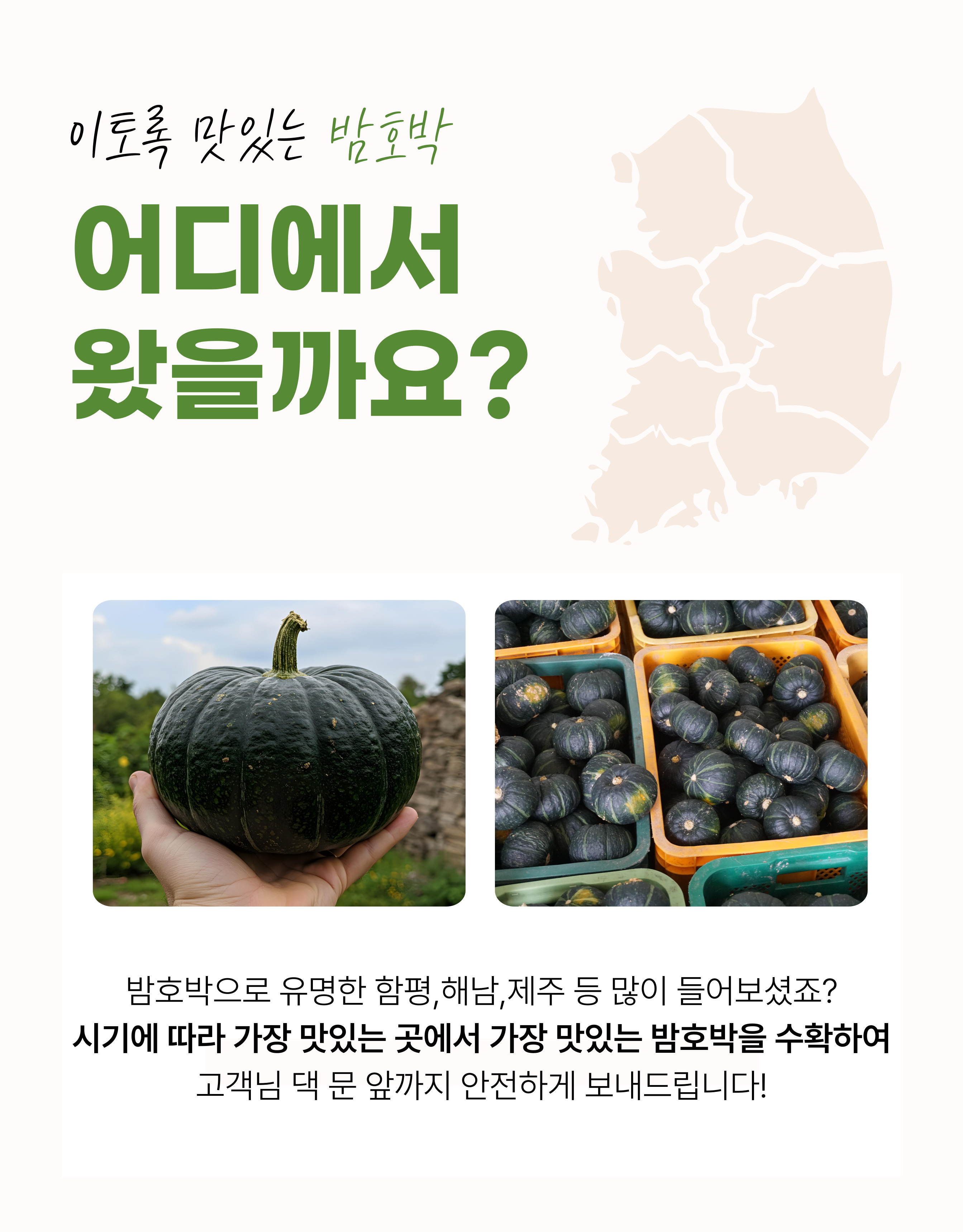국내산 미니밤호박, 정품, 4kg, 1개 상세 이미지 3