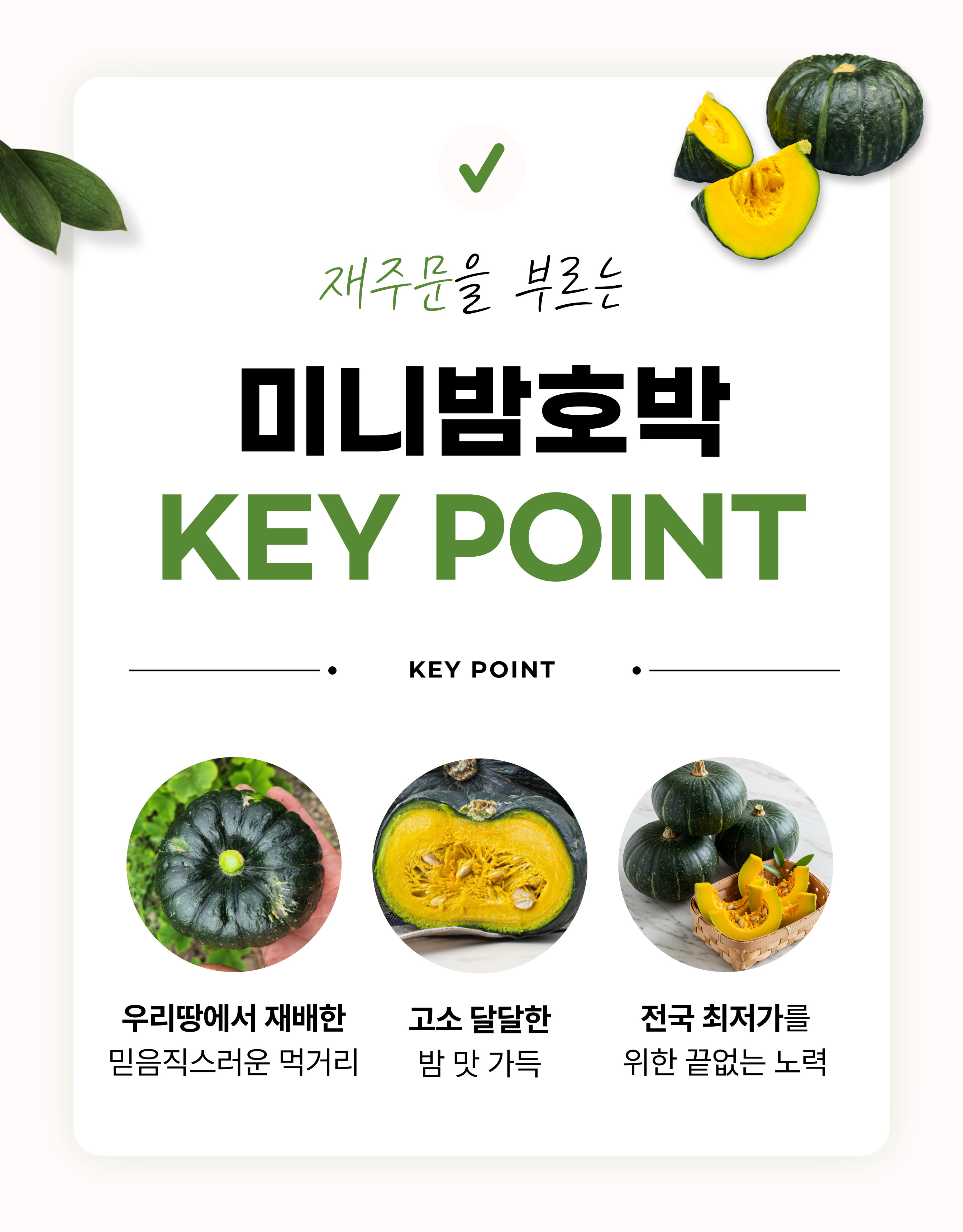 국내산 미니밤호박, 정품, 4kg, 1개 상세 이미지 4