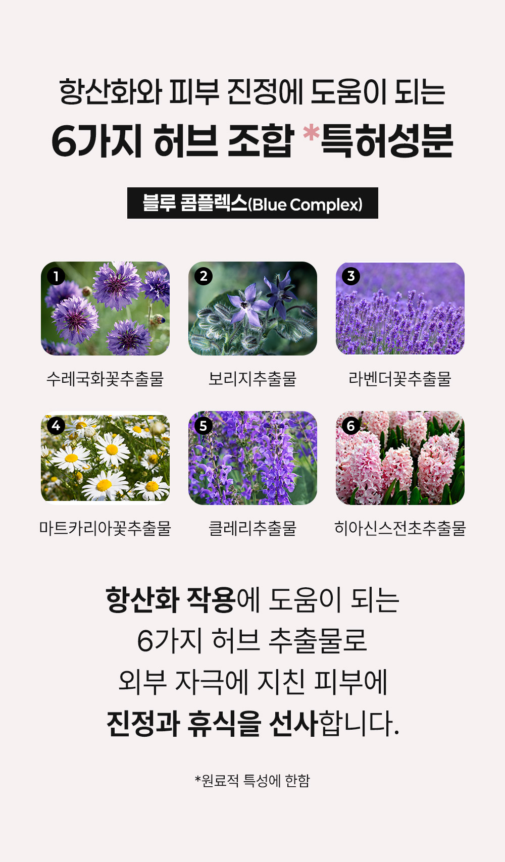 스킨구하리 리바이브 테라피 엔에프 앰플, 30ml, 1개 상세 이미지 4