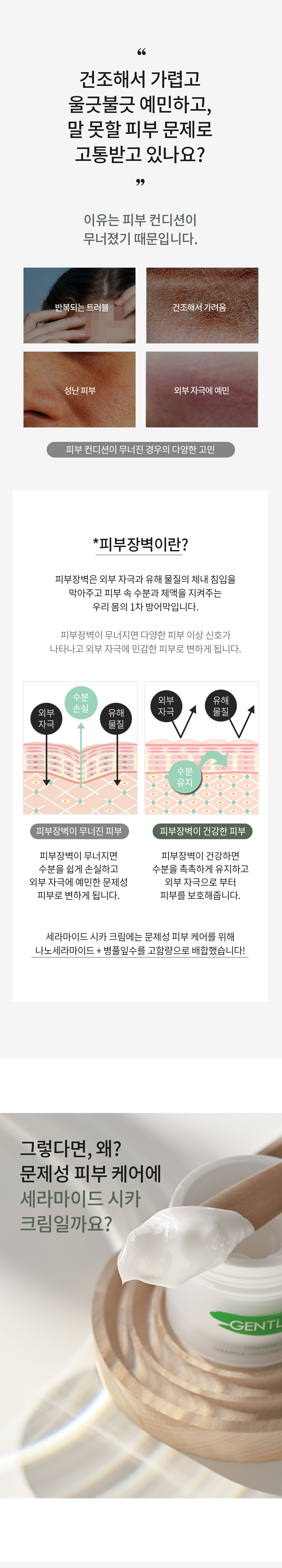젠틀마스크 리포좀 세라마이드 시카 재생 크림, 50ml, 1개