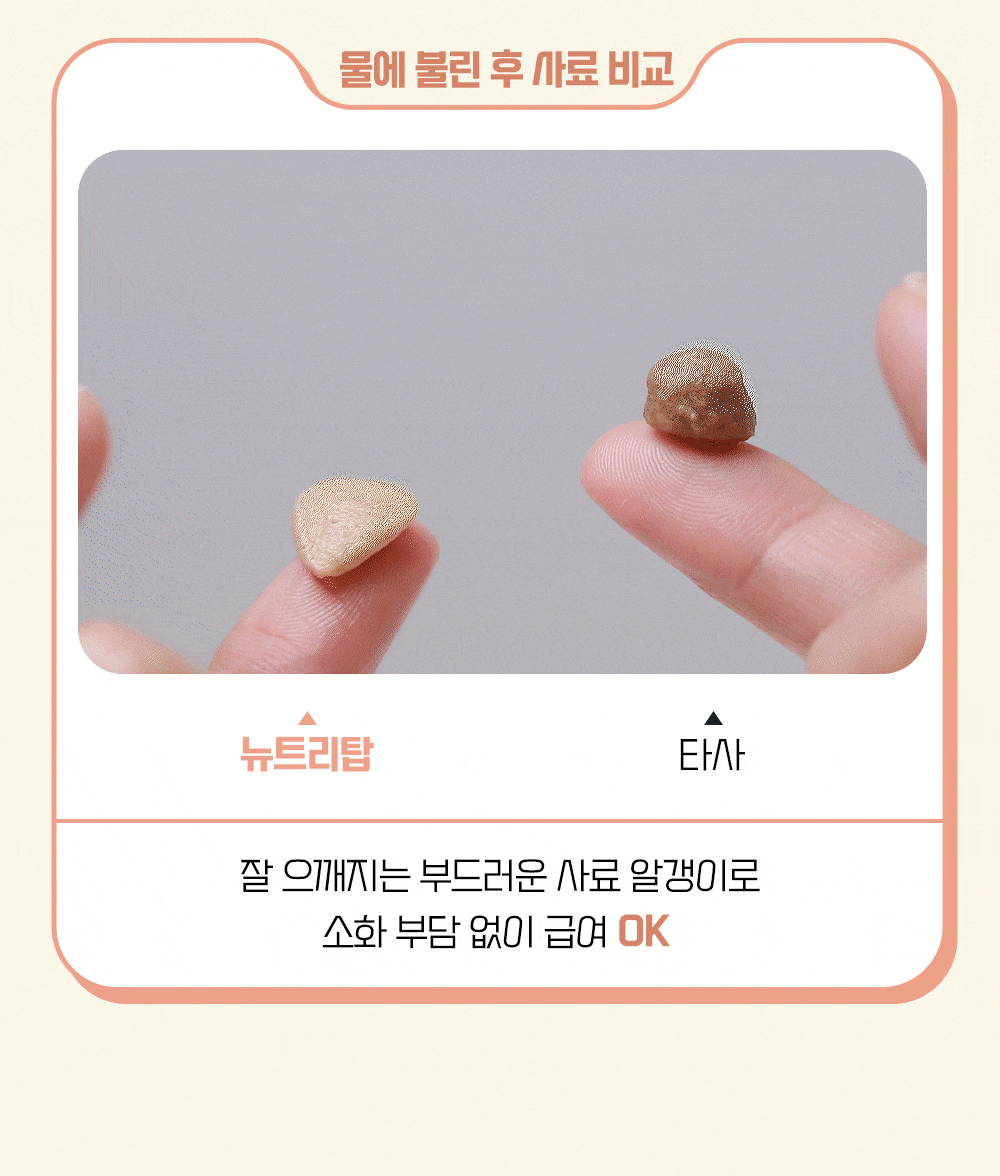 유한양행 윌로펫 뉴트리탑 시니어 말랑육즙 소프트사료, 7세이상, 닭, 1.2kg, 1개 상세 이미지 5
