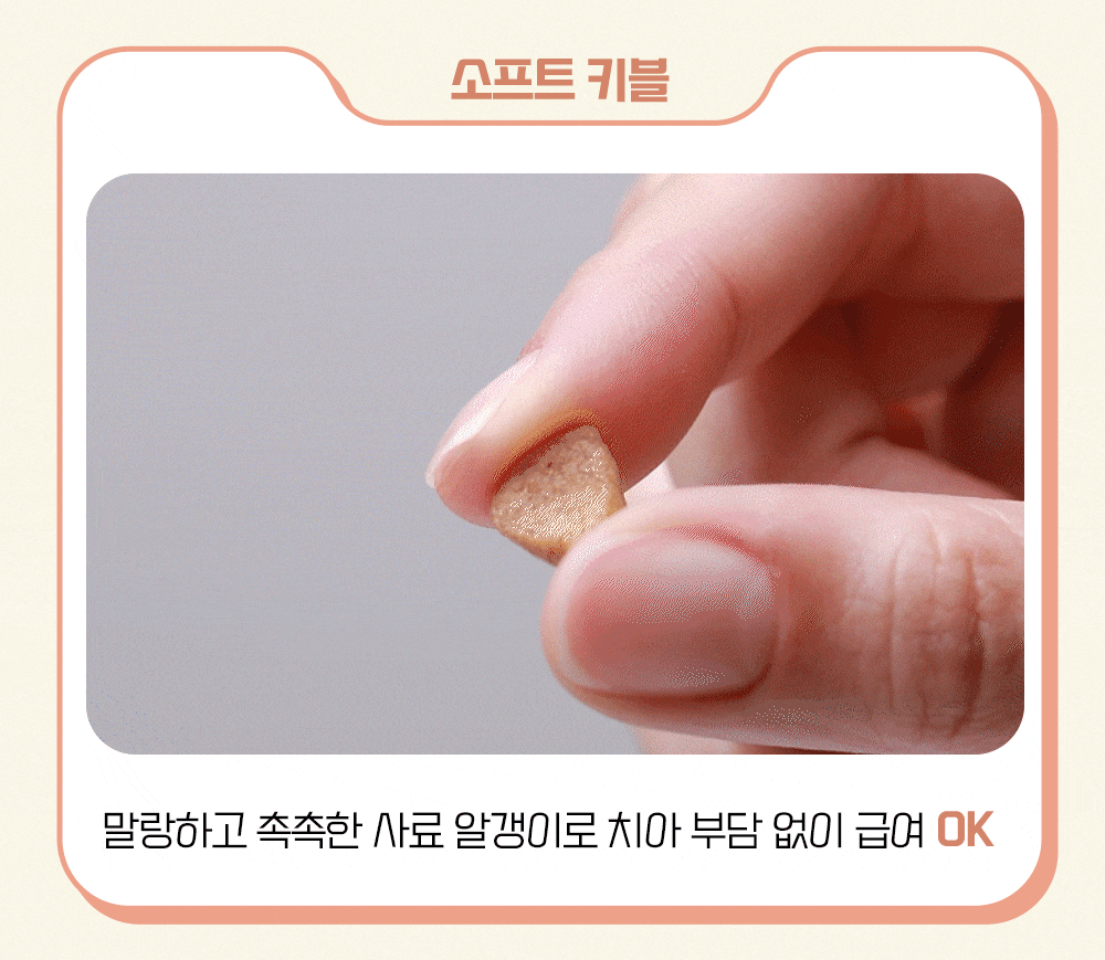 뉴트리탑 시니어, 7세 이상, 3kg, 1개 상세 이미지 4