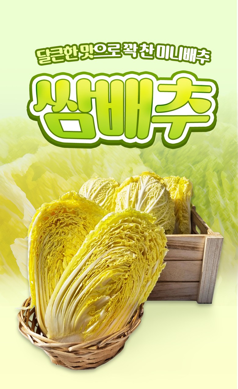 알배기 쌈배추, 6통 상세 이미지 2