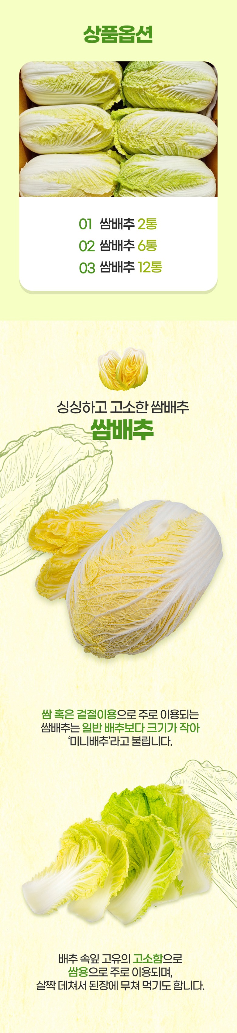 알배기 쌈배추, 6통 상세 이미지 4