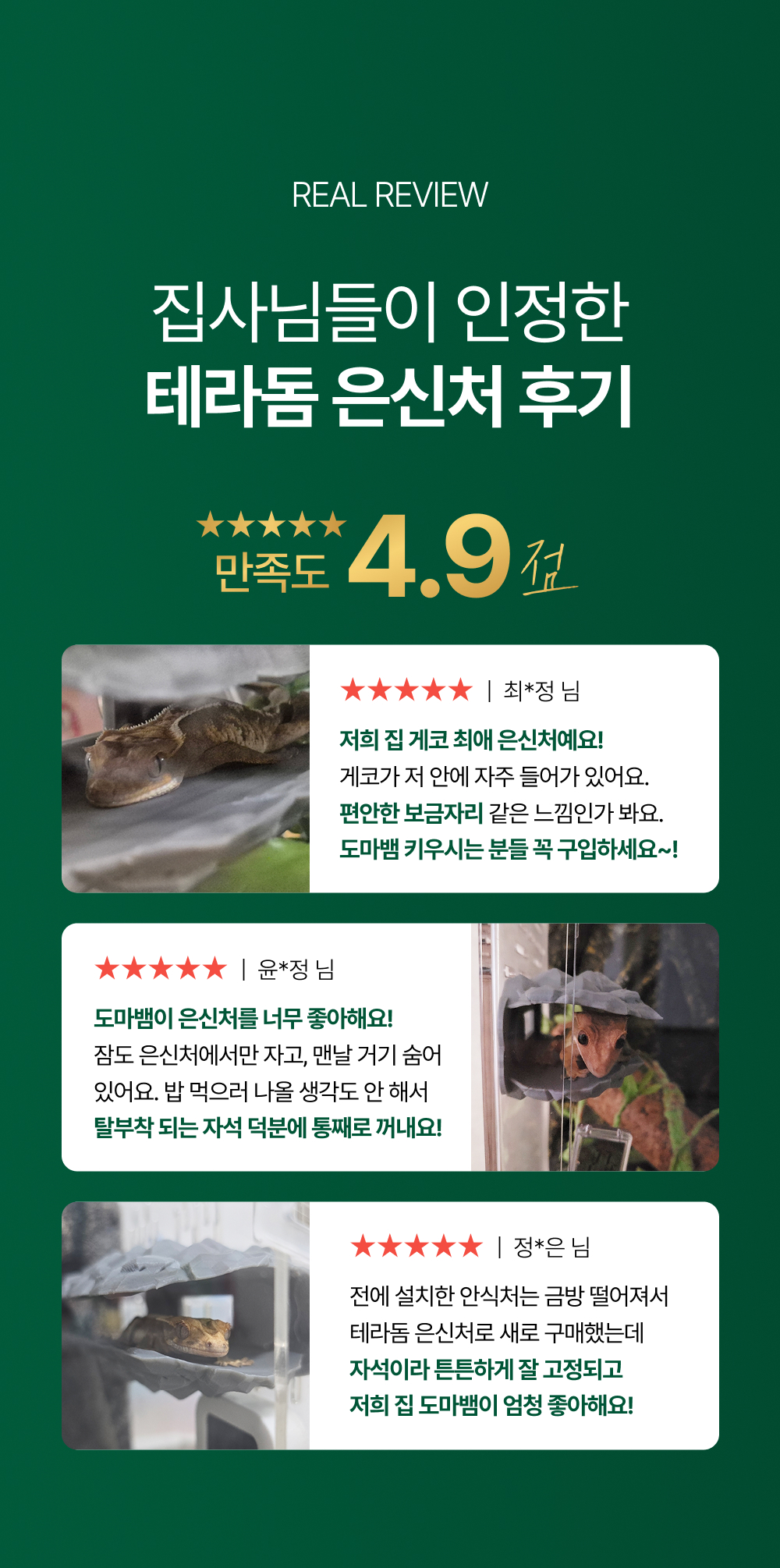 테라돔 도마뱀 안식처, 그레이, 1개 상세 이미지 2