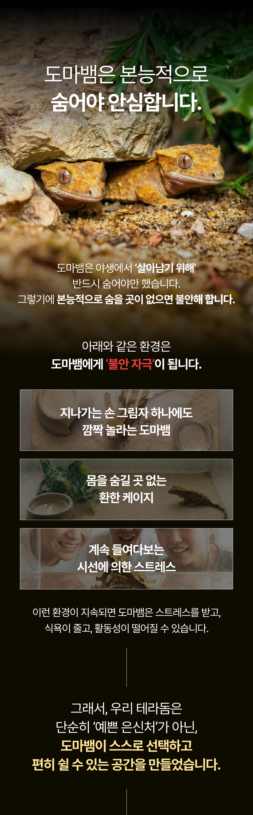테라돔 도마뱀 안식처, 그레이, 1개 상세 이미지 4
