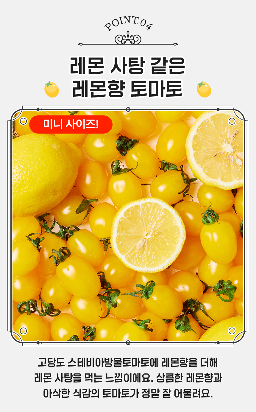 프레시아 망고 스테비아 토마토, 500g, 2팩