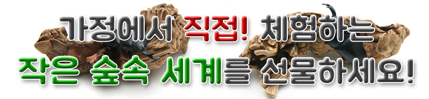 과일 곤충젤리 혼합 장수풍뎅이 사슴벌레 먹이 발효톱밥 사육 키우기, 과일젤리 오렌지, 20개입 상세 이미지 1