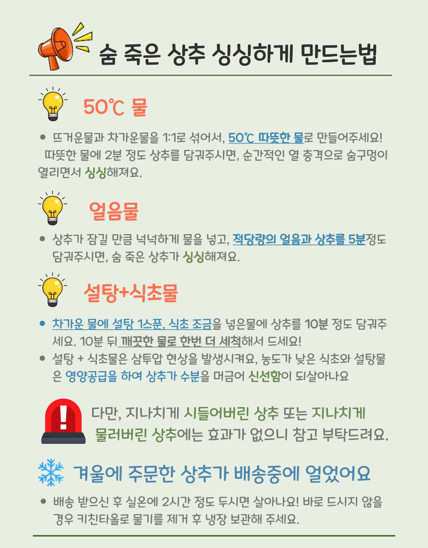 당일 수확 유러피안 상추 3-4종, 랜덤, 1kg, 1박스