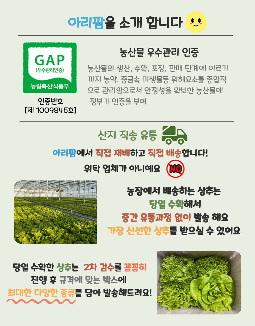 당일 수확 유러피안 상추 3-4종, 랜덤, 1kg, 1박스