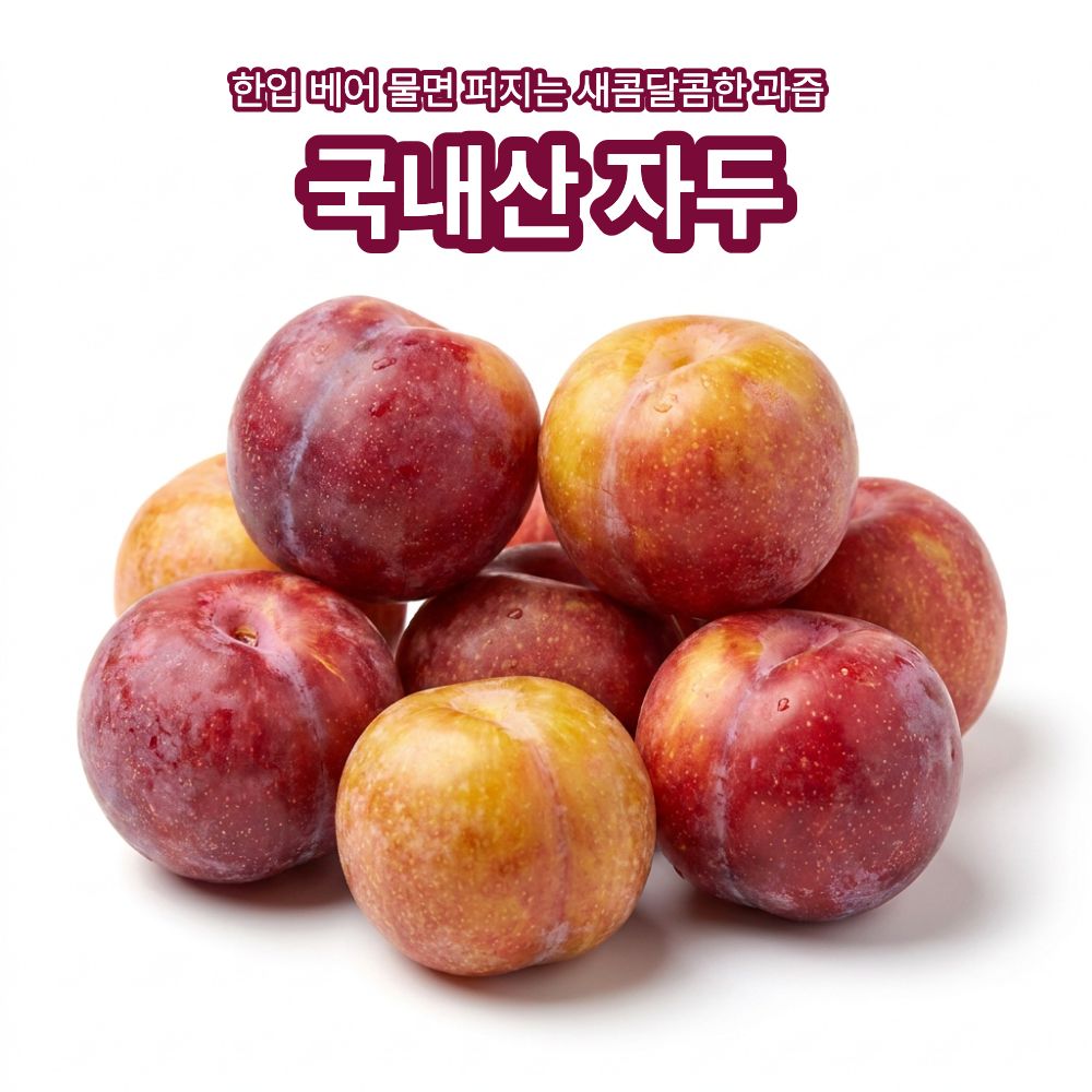 국내산 자두, 55-65g, 2kg, 1박스 상세 이미지 1