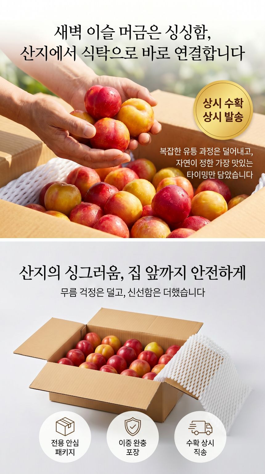 팜보스 국내산 햇자두, 개당 55g-65g, 4kg, 1박스