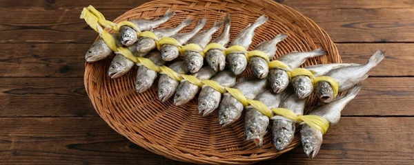 법성포 영광굴비, 20cm 내외, 20마리