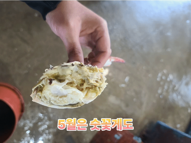 찬바다 국내산 생물 숫꽃게, 1kg, 1세트