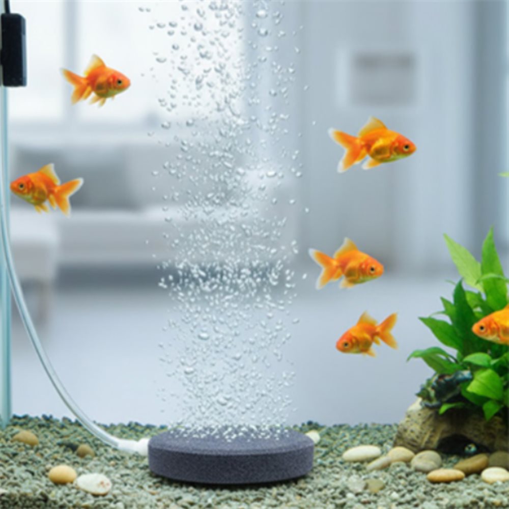 더샵이지 수조기포석, 4cm, 1개