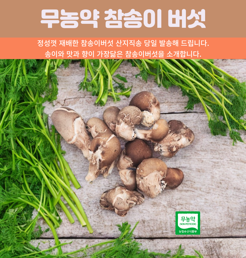 산지직송 참송이버섯, 무농약, 친환경, 500g, 1개 상세 이미지 3