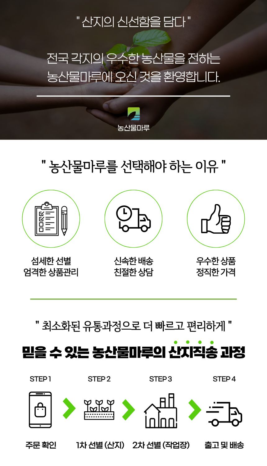 국내산 미니밤호박 보우짱, 2-6수 내외, 1kg, 1박스 상세 이미지 1