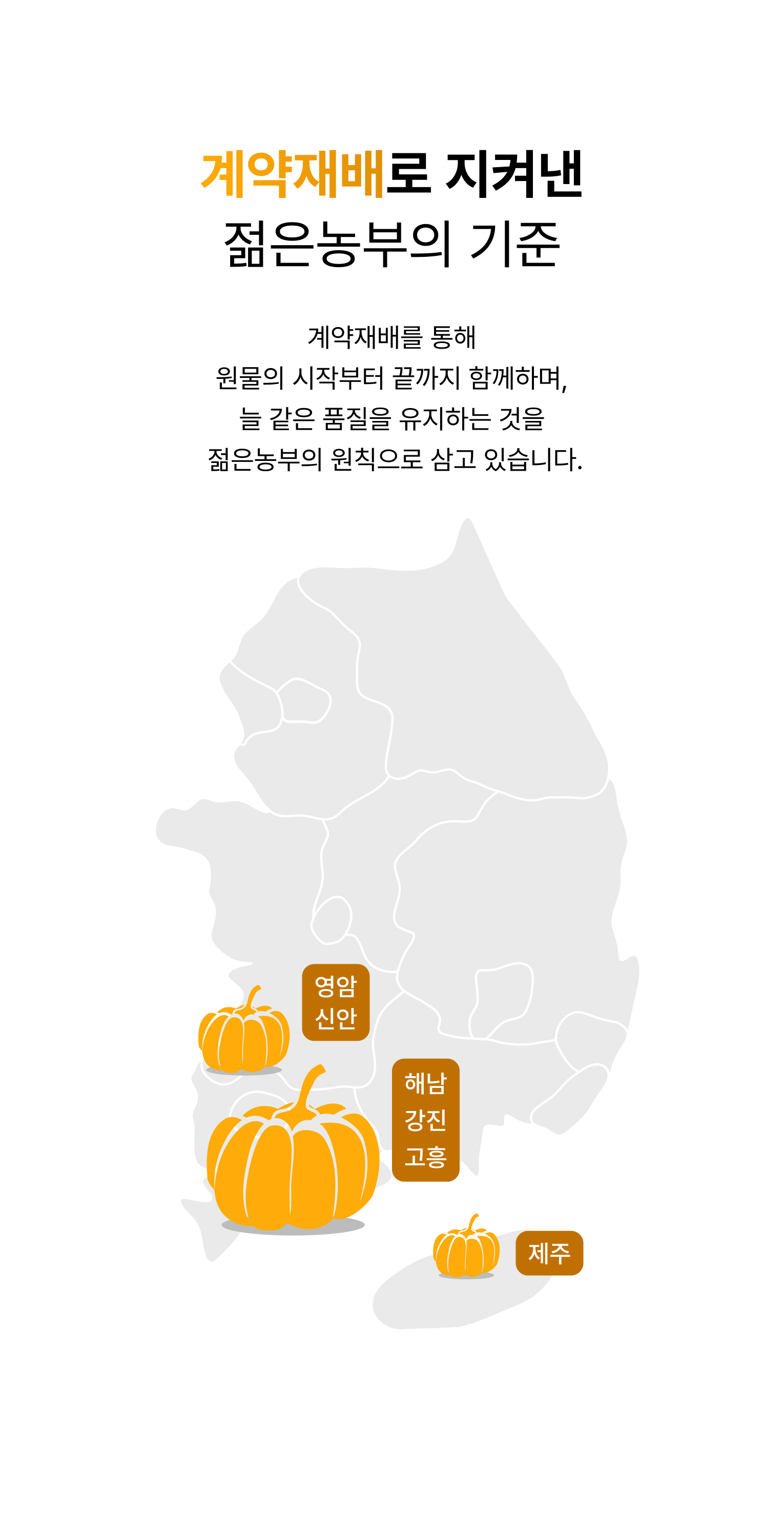 푸릇담 젊은농부 호박즙, 100ml, 60팩