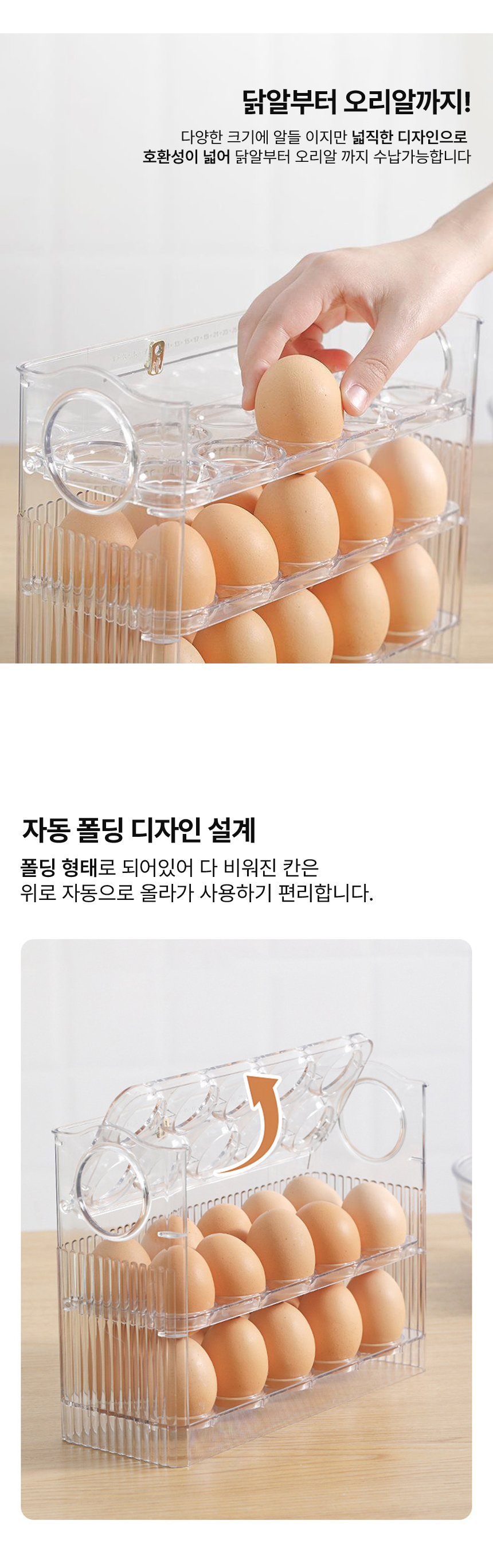 자동 계란 트레이 보관함, 투명, 26x10x20cm, 1개 상세 이미지 3