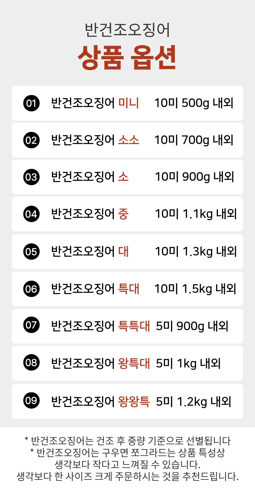 구룡포 반건조 오징어, 10미, 700g, 1개 상세 이미지 3