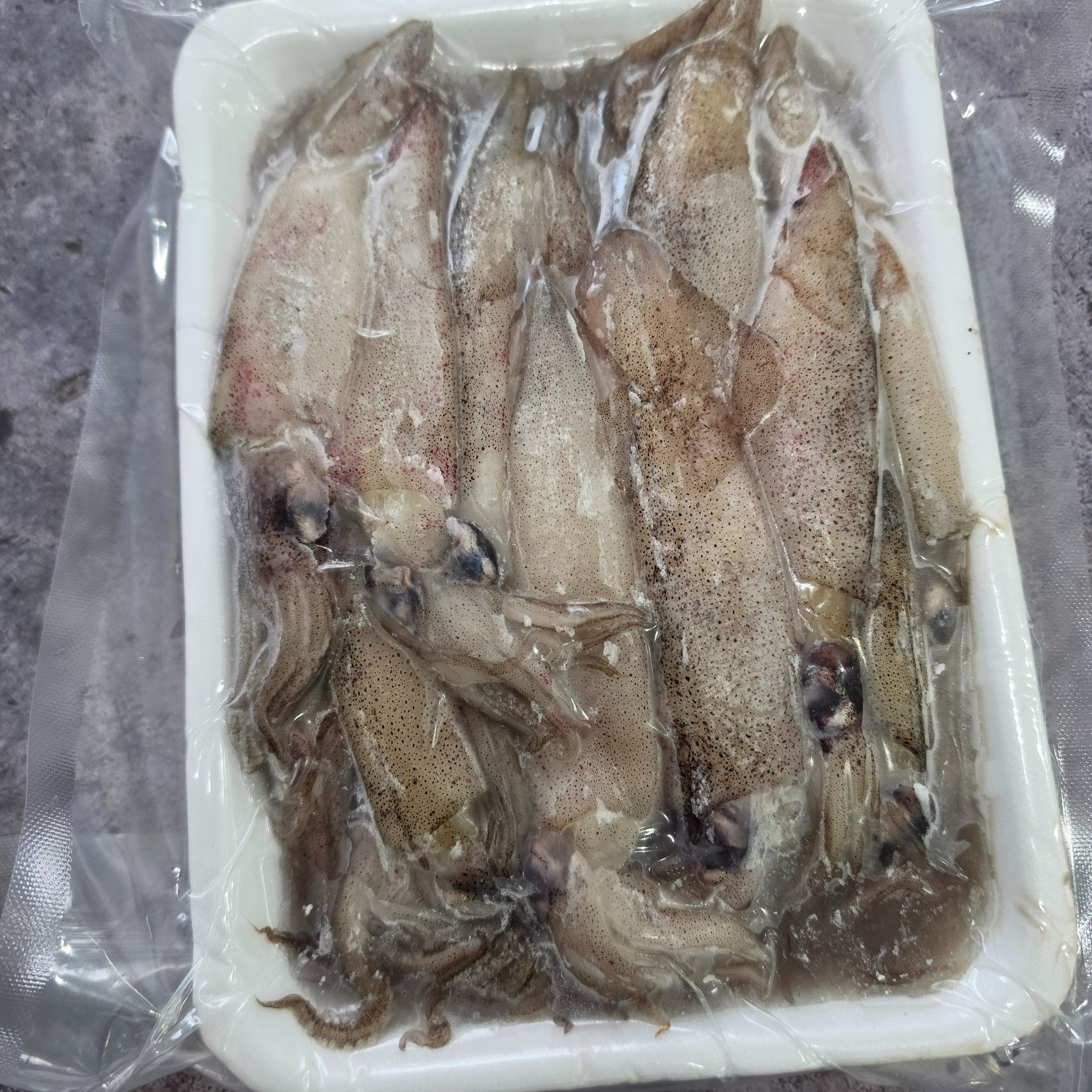 자연산 총알한치 통찜용, 15-23미, 500g, 2개 상품 이미지 2