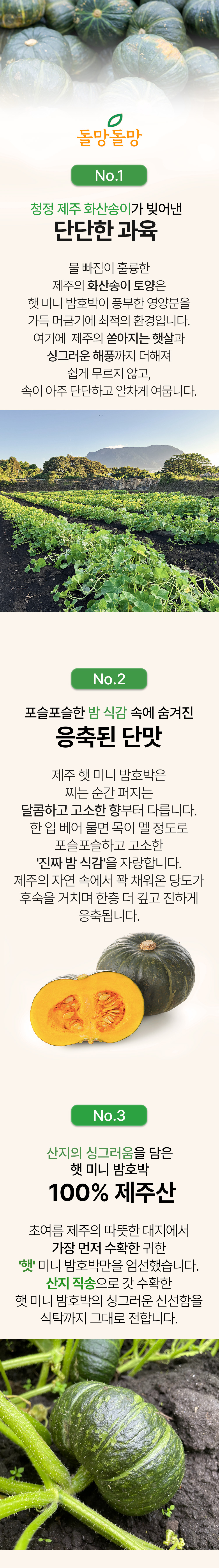 돌망돌망 제주 미니밤호박, 특상품, 5kg, 1개